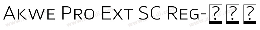 Akwe Pro Ext SC Reg字体转换